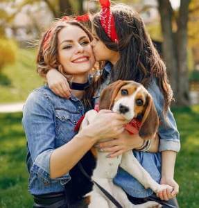 Shenzhen ZeBounty Pet Hygiene Technology Co.,Ltd.