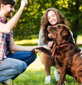 Shenzhen ZeBounty Pet Hygiene Technology Co.,Ltd.