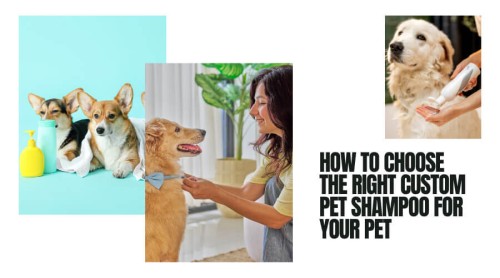How to Choose the Right Custom Pet Shampoo for Your Pet
