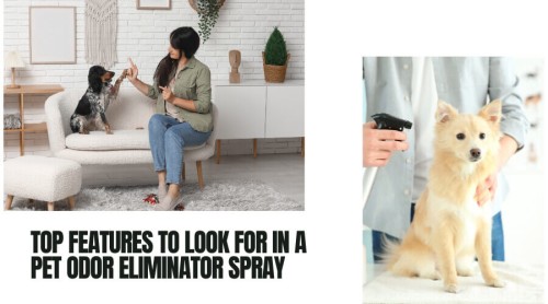Top Features to Look for in a Pet Odor Eliminator Spray