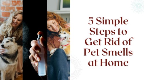5 Simple Steps to Get Rid of Pet Smells at Home