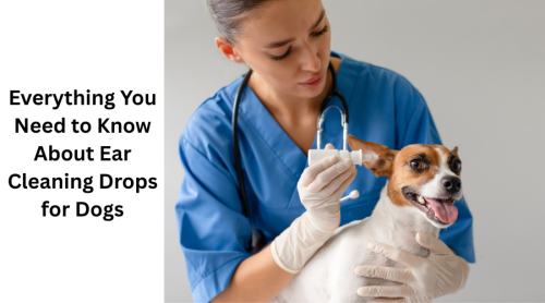 Everything You Need to Know About Ear Cleaning Drops for Dogs