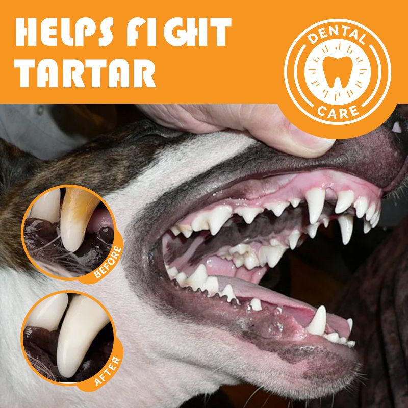 Safe Formula Dog Oral Health Care Water Additive Odorless Tasteless Pet Teeth Tartar Controller Breath Cleanser