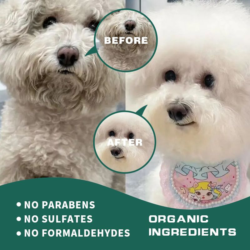 Customized Melon-infused Brightening Anti-inflammatory and Hypoallergenic Shampoo for Furry Friends Dogs & Cats