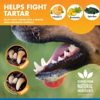 Custom Label Pet Oral Care Water Bad Breath Eliminator for Dogs Cats Natural Ingredients Tooth Tartar Controller