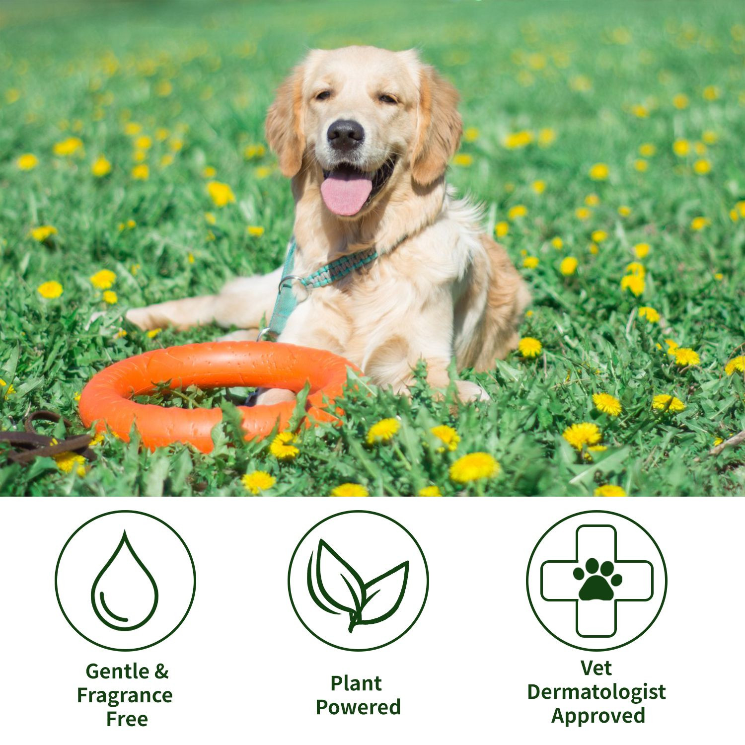 Plant-Powered Pet Cleansing Mousse 5oz PH Balanced Soothing Formula with Soft Bristles for Sensitive Skin Deep Clean