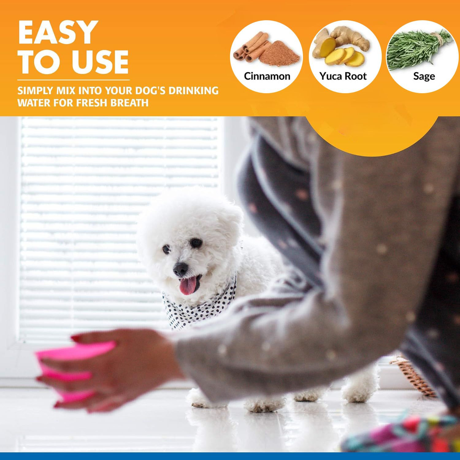 Custom Label Pet Oral Care Water Bad Breath Eliminator for Dogs Cats Natural Ingredients Tooth Tartar Controller